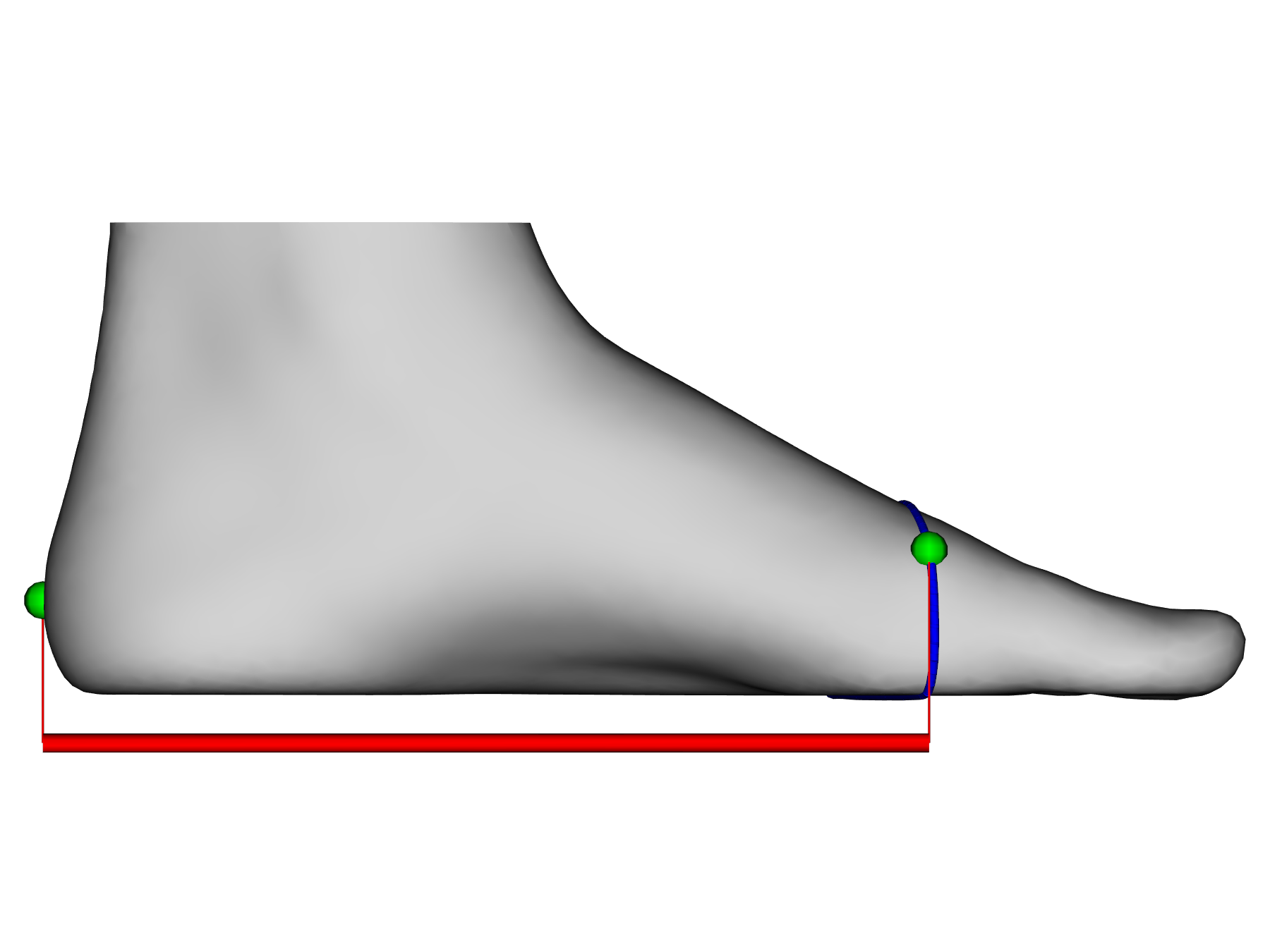 Feet Metrics Catalog