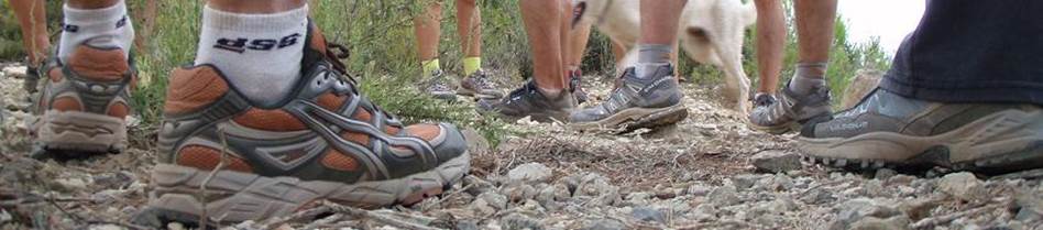 recVall de Segart 052