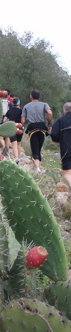 zzrecXativaCastell 041