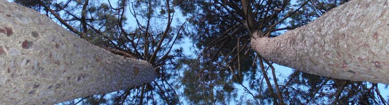 recEspadanBcoMalo 097