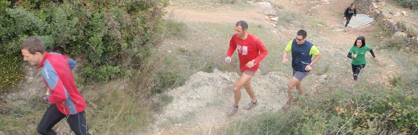 Descripcin: aP3080003