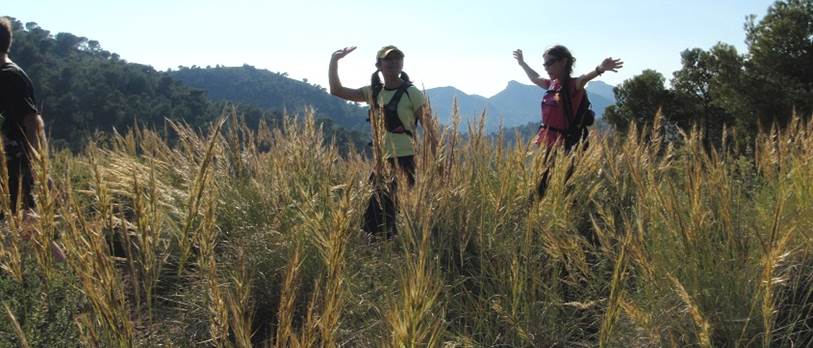 Descripcin: Descripcin: aP3290111