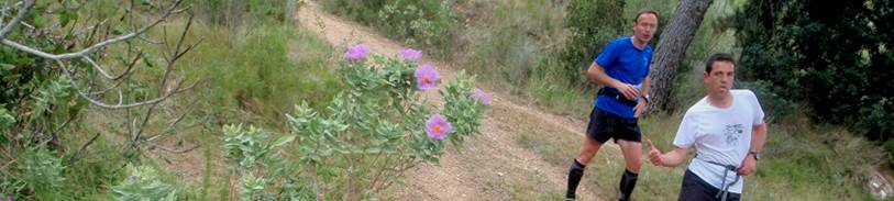 Descripcin: Descripcin: aP4030024