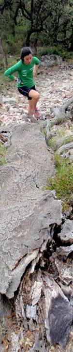 Descripcin: Descripcin: Descripcin: aP4190044