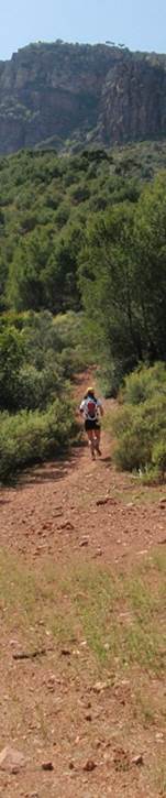 Descripcin: Descripcin: Descripcin: aP4260138