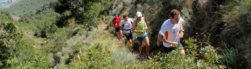 Descripcin: Descripcin: Descripcin: aP4260150