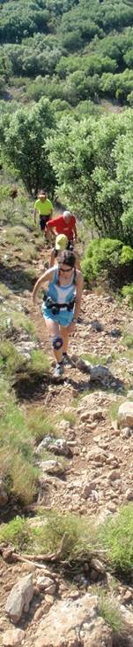 Descripcin: Descripcin: aP5240023