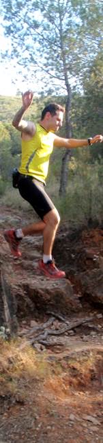 Descripcin: aP5310315