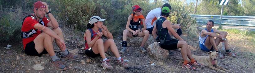 Descripcin: aP5310294