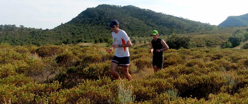 Descripcin: aP5310307