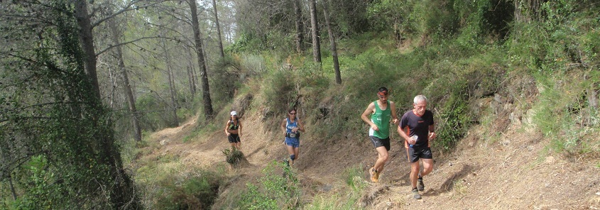 Descripcin: Descripcin: aP6070343