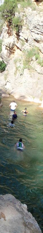 Descripcin: Descripcin: aP6210181