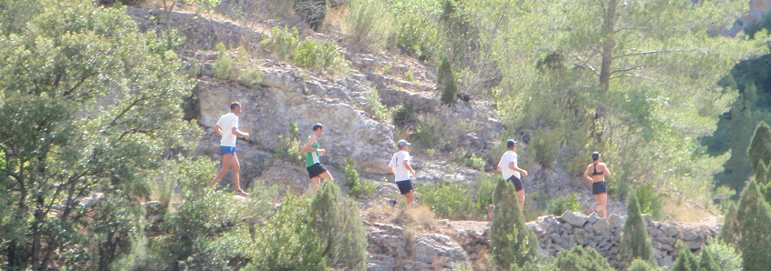 Descripcin: Descripcin: aP6210155