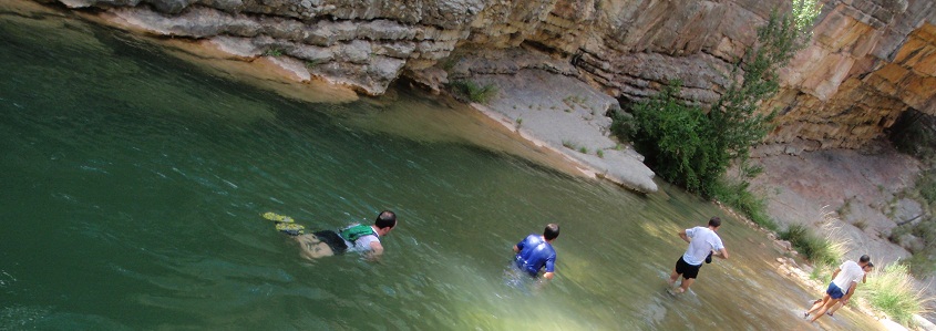 Descripcin: Descripcin: aP6210177