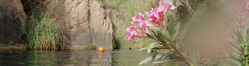 Descripcin: Descripcin: Descripcin: aP6280105