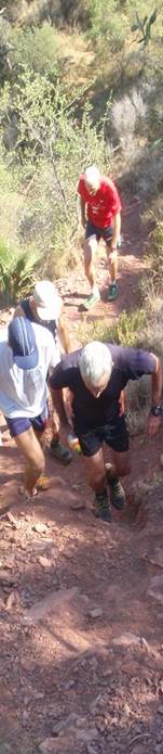 Descripcin: Descripcin: aP7190153