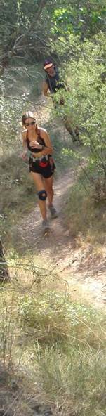 Descripcin: Descripcin: aP7190181