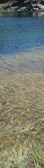 recCarros de Foc 062