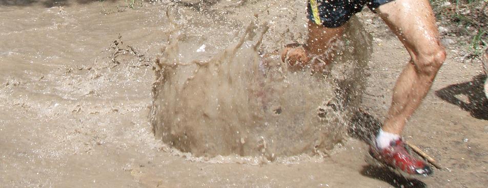 Gestalgar 013detalle