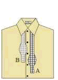 mono.gif (171780 bytes)