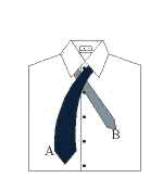 winsorsencillo.gif (144714 bytes)
