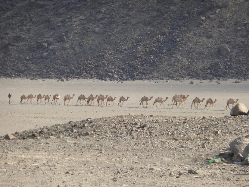 P1040437