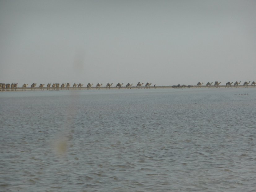 P1040878