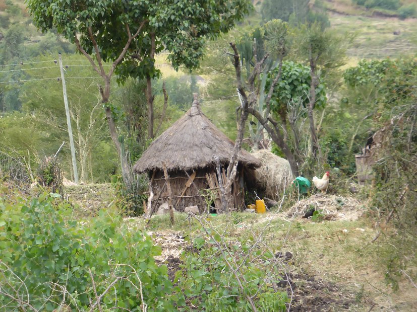 P1050502