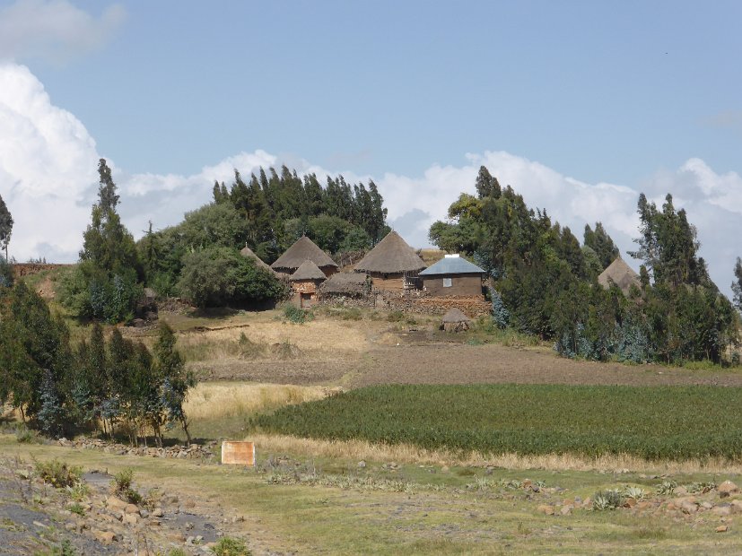 P1050641