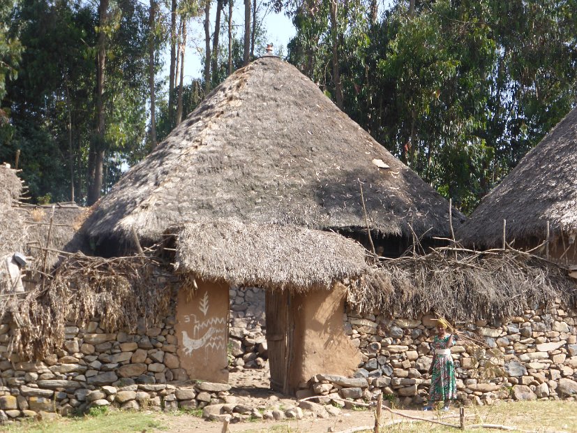 P1050642