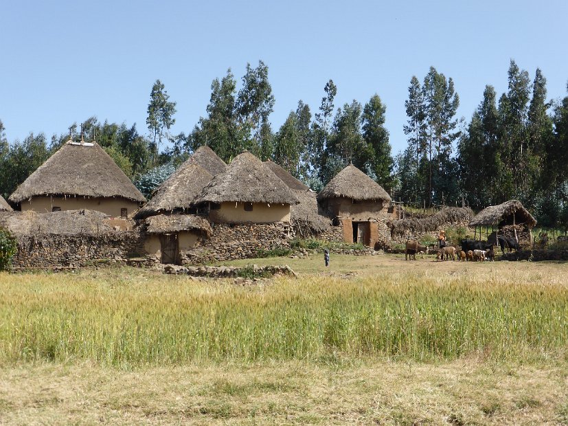 P1050646