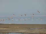 P1040290.JPG