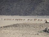 P1040437.JPG