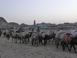 P1050107.JPG