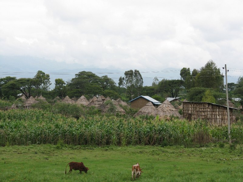 IMG_8499.JPG - Camí de Dimeka.