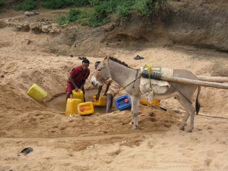 IMG_8558.JPG - Bungalows  a Turmi. Traient aigua pel comerç.