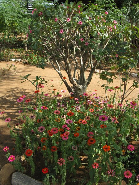 IMG_8599.JPG - Bungalows a Turmi.