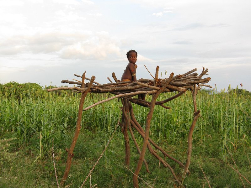 IMG_8646.JPG - Espantaocells vivent.