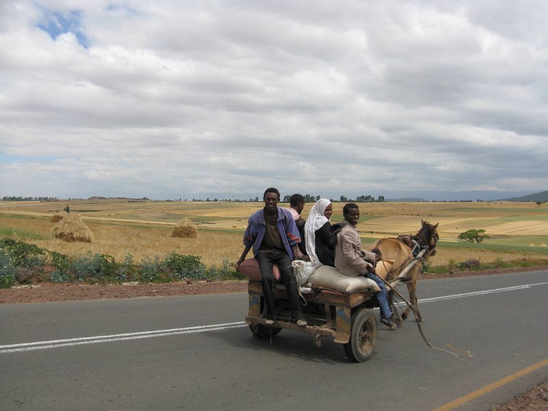 IMG_8959.JPG - carro