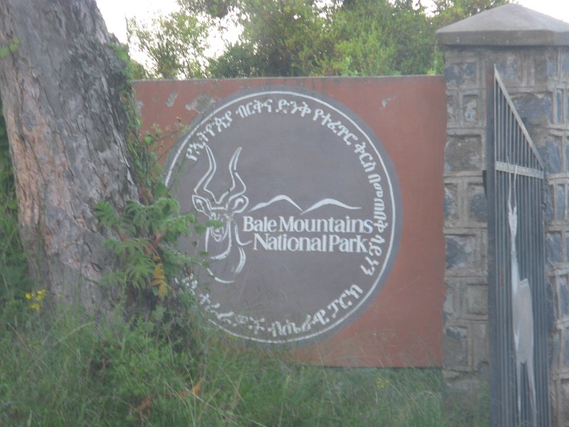 IMG_9121.JPG - Surtida del parc de les Muntanyes Bale