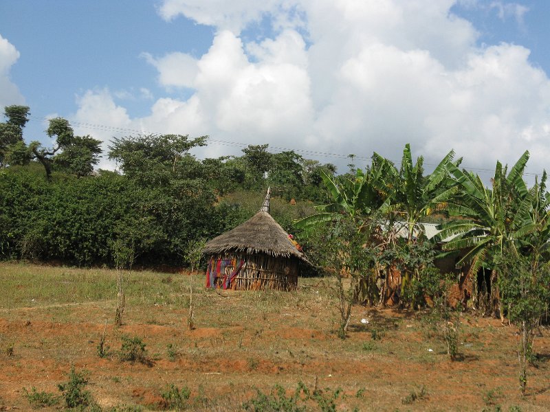 IMG_9266.JPG - Tukul i bananos.