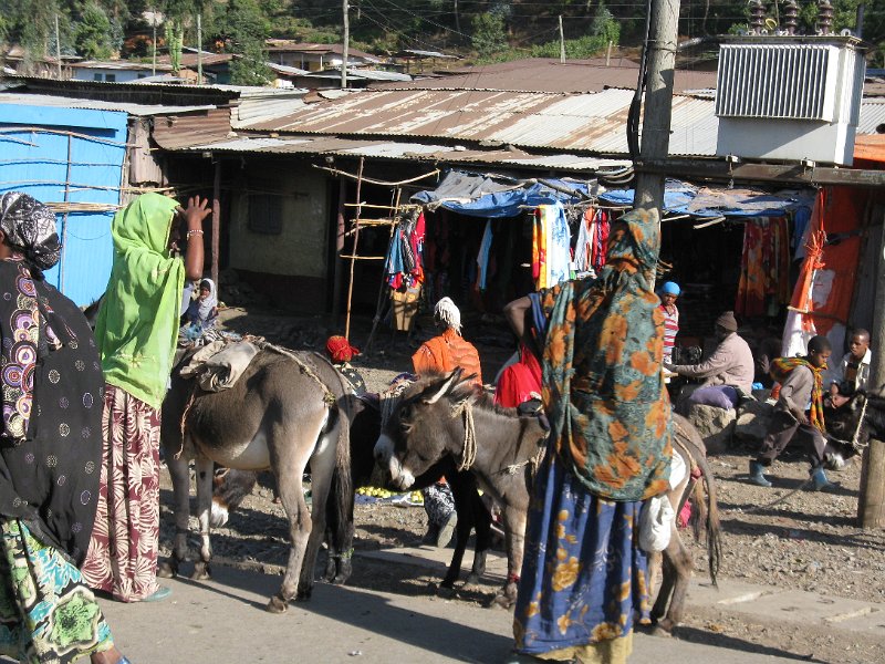 IMG_9330.JPG - Poblets