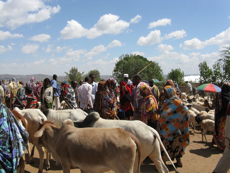 IMG_9375.JPG - mercat d'animals de Barbili