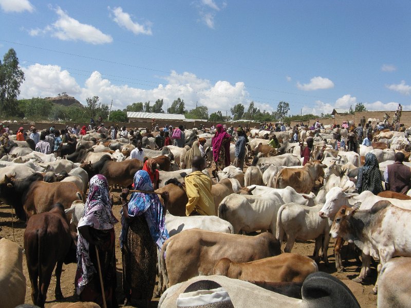 IMG_9376.JPG - mercat d'animals de Barbili