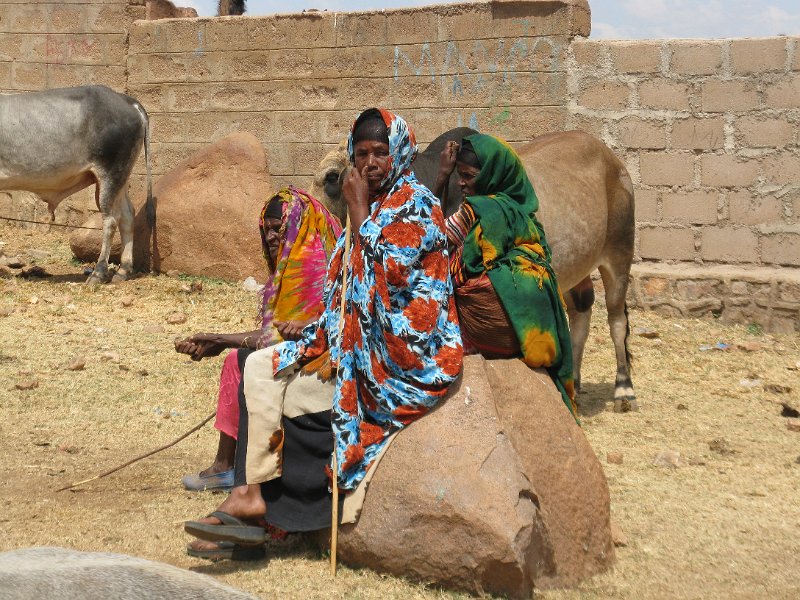 IMG_9396.JPG - mercat d'animals de Barbili