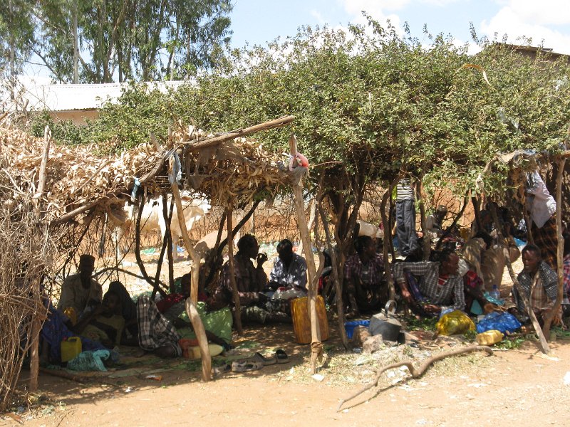 IMG_9403.JPG - mercat d'animals de Barbili. Mastegant xat a l'ombra