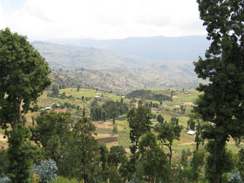 IMG_9554.JPG - De camí al parc d'Awash