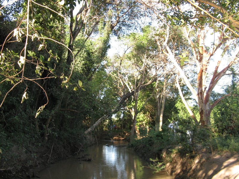 IMG_9624.JPG - Zona de selva