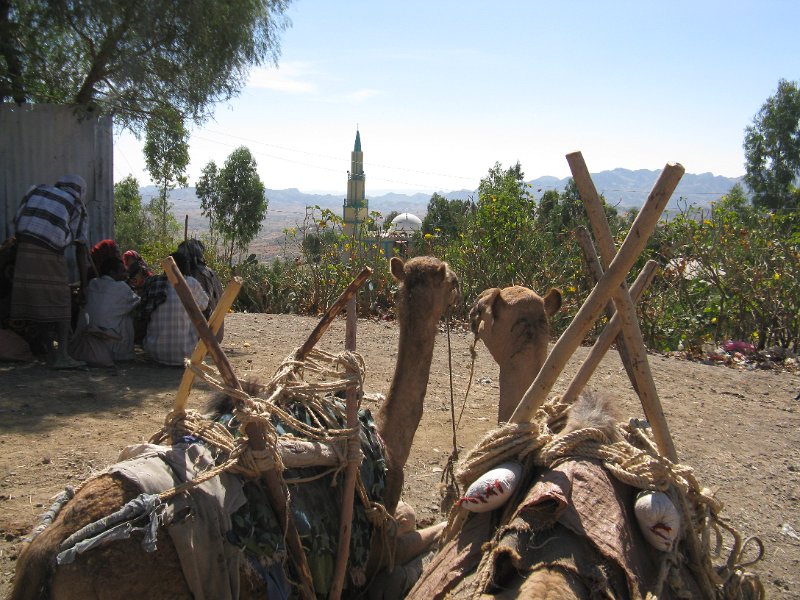 IMG_9709.JPG - mercat de Bati