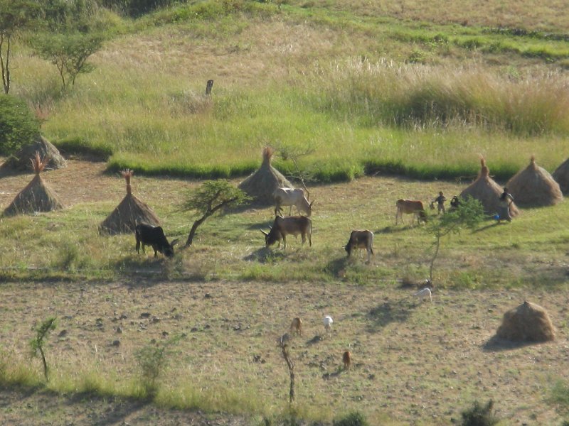 IMG_9756.JPG - paissatges